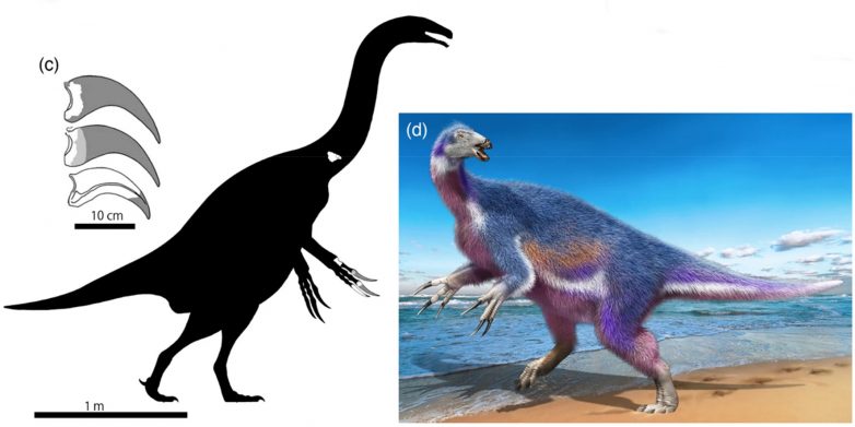 Учёные нашли новый вид динозавров и выяснили, зачем тираннозавру когти