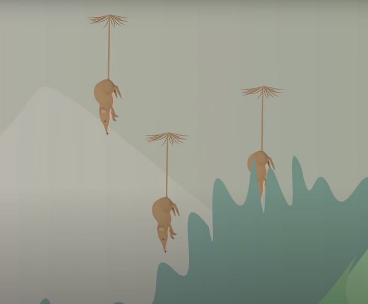 Как будут выглядеть земные животные миллион лет спустя