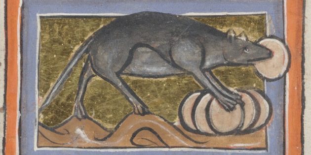 5 животных, которых средневековые люди представляли себе ну очень странно