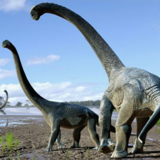 Палеонтологи описали новый подвид огромных древних ящеров