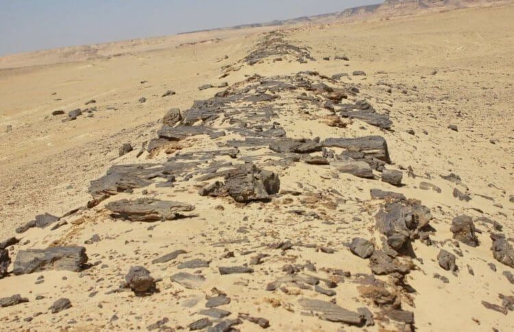 Древние египтяне построили дорогу, которая озадачила современных учёных