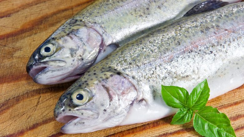 Рыба и вегетарианство снижают риск рака кишечника