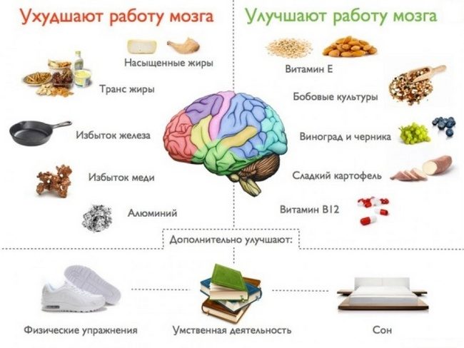 Важные продукты для питания мозга