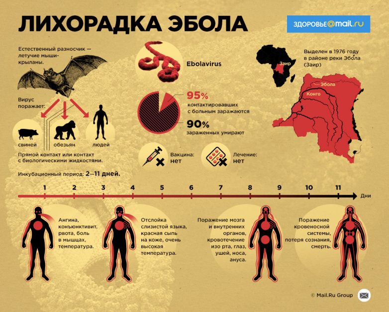 7 самых смертоносных эпидемий в истории