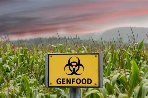 7 мифов о продуктах с ГМО