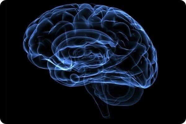 10 вещей, плохо влияющих на мозг