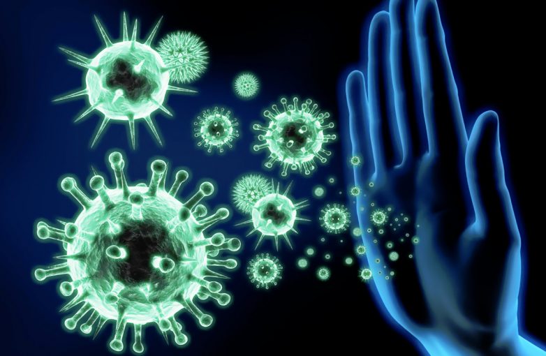 8 фактов про иммунитет