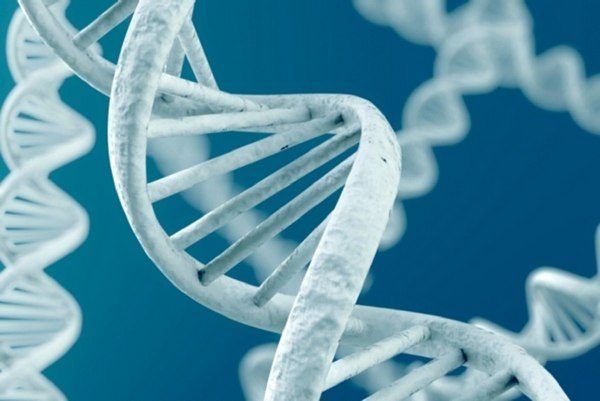 6 неожиданных фактов о том, как гены влияют на ваш организм
