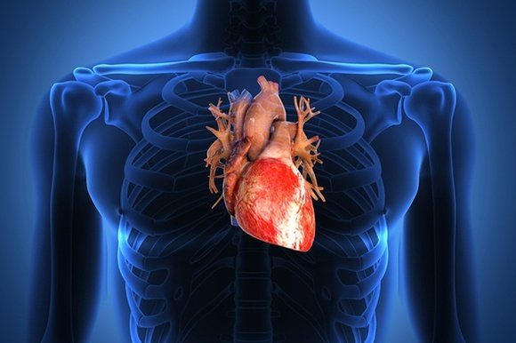 11 симптомов, указывающих на проблемы с сердцем