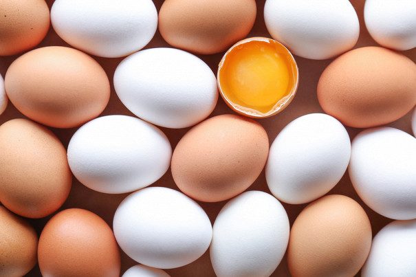 10 важных фактов о куриных яйцах