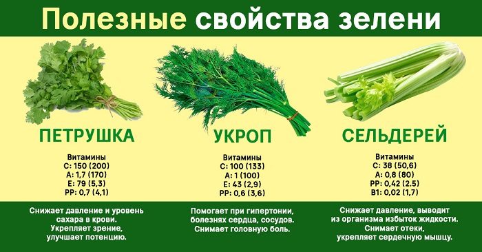 7 видов полезной зелени, которую можно вырастить на подоконнике или грядках