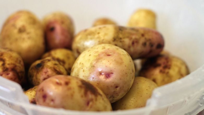 Правда и мифы о картошке