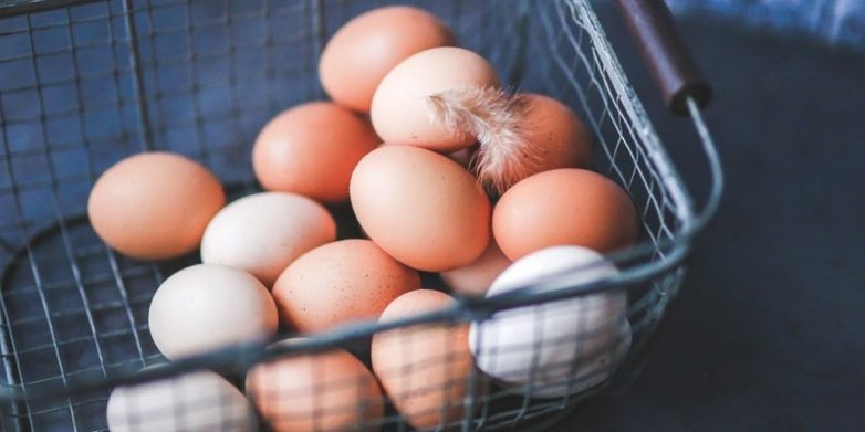 Почему ученые советуют отказаться от яиц
