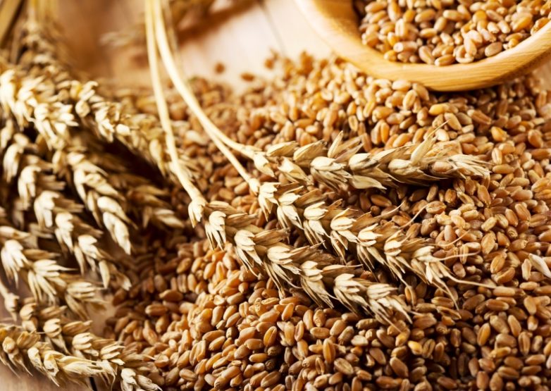 Почему необходимо срочно отказаться от пшеницы