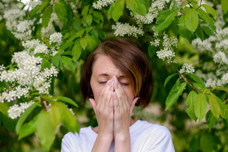Советы, которые помогут при аллергии на тополиный пух