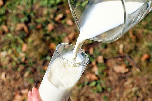 Способствует ли употребление молока развитию рака