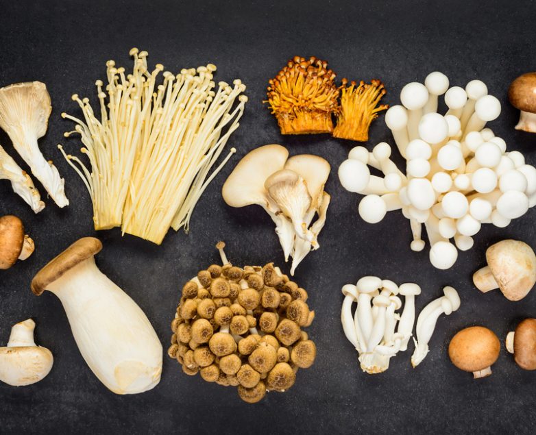 5 видов грибов для иммунитета