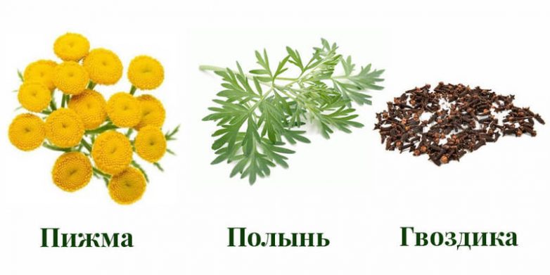 Рецепты русской тройчатки от доктора Иванченко