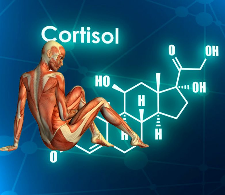 Признаки повышенного кортизола