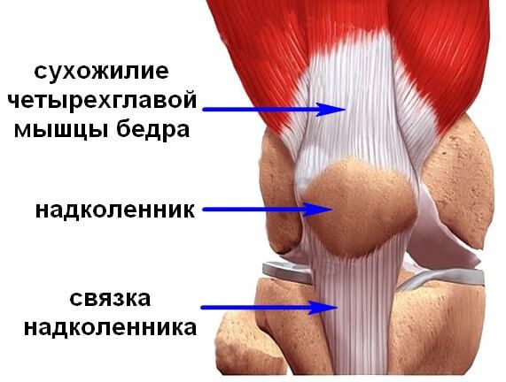 Упражнения от болей в коленях