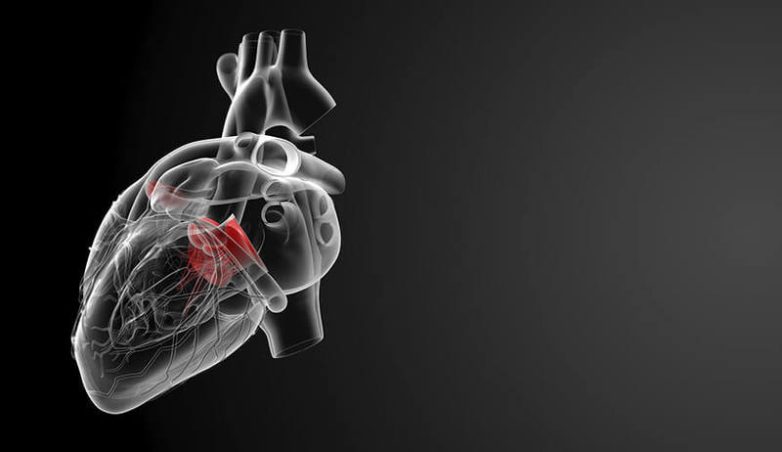 9 подсказок организма о проблемах с сердцем