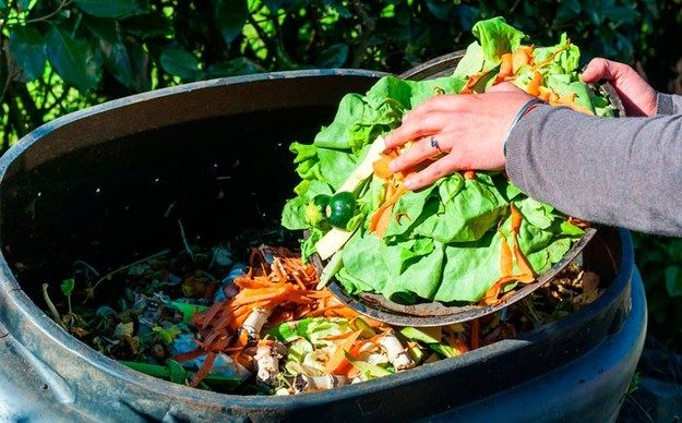 7 полезных советов, которые позволят сократить количество пищевых отходов