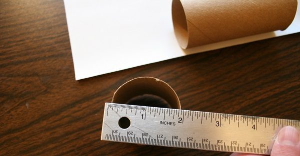 Потрясающие способы повторно использовать втулку от туалетной бумаги