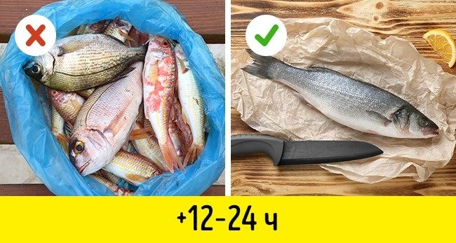 Как сохранить рыбу свежей надолго