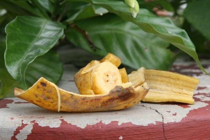 О пользе банановой шкурки в быту и не только