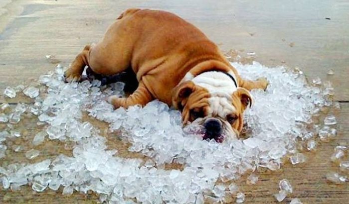 13 эффективных способов борьбы с летней жарой