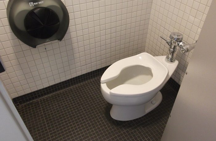 Почему американцы обходятся без ёршиков в туалетах