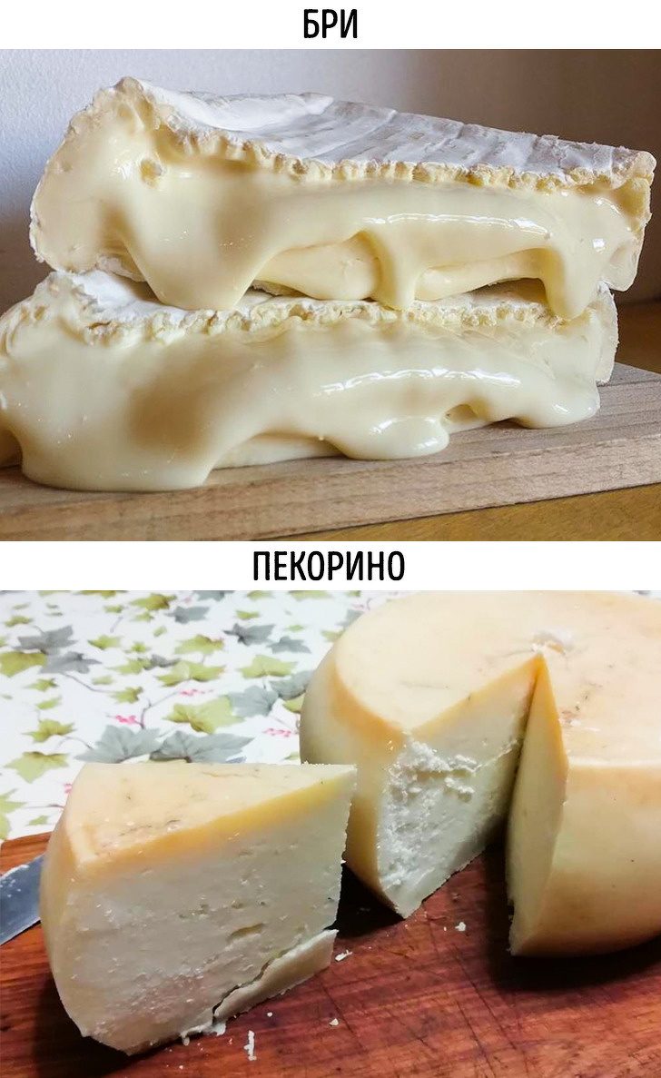 Как отличить настоящий сыр от подделки и всё, что нужно знать об этом продукте