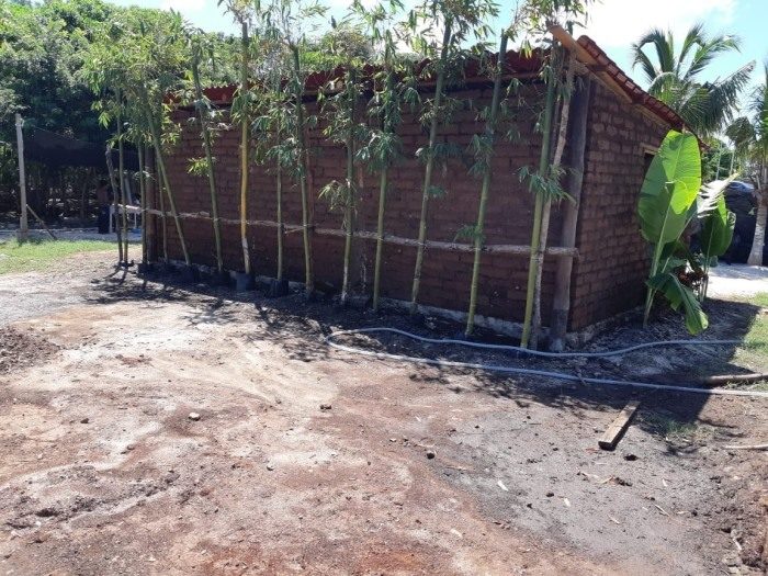 Мексиканский бизнес-новатор строит дома из водорослей