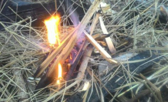 Уроки выживания: как добыть огонь в сыром лесу