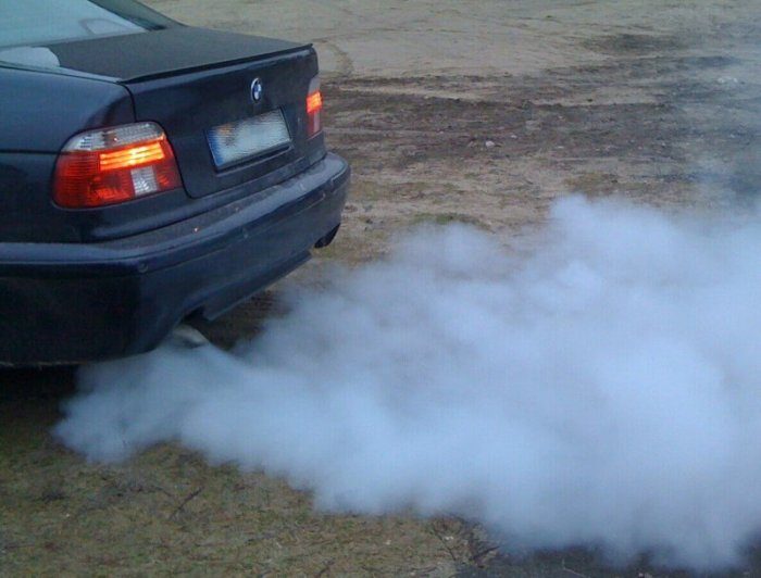 Язык автомобиля: какие выводы можно сделать по цвету выхлопных газов машины
