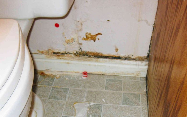 9 самых грязных мест в любой квартире