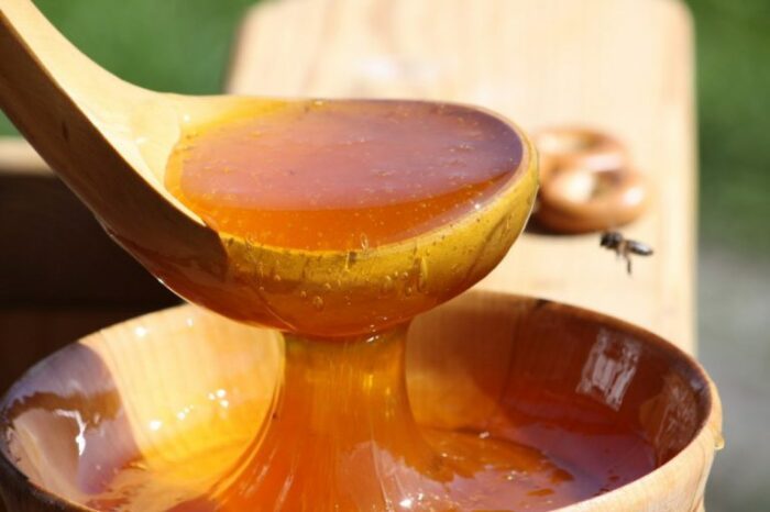 Неправильный мёд: как проверить качество любимого продукта