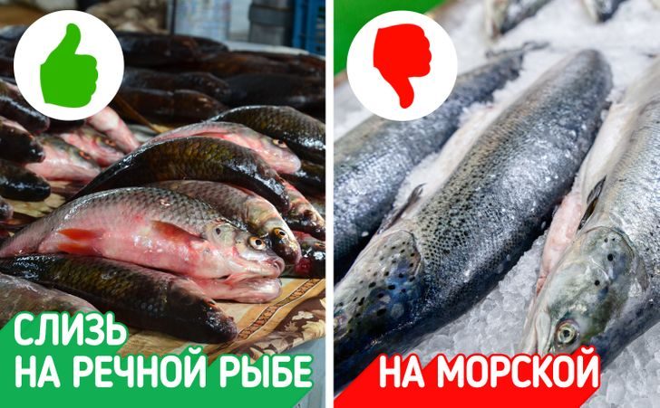 Признаки опасной рыбы, которую ни в коем случае не нужно покупать