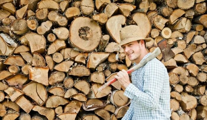 Ликбез по дровам: какие выбрать и как правильно заготовить?