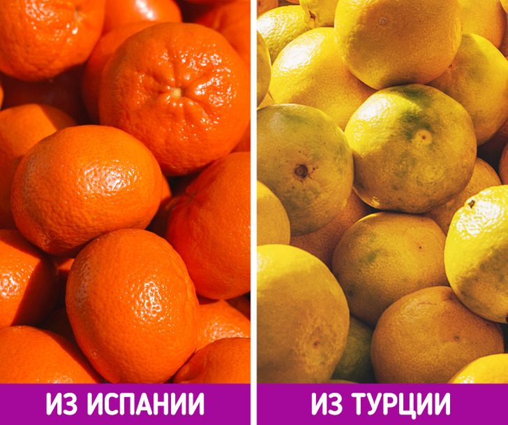 9 секретов, зная которые вы больше никогда в жизни не купите плохие мандарины