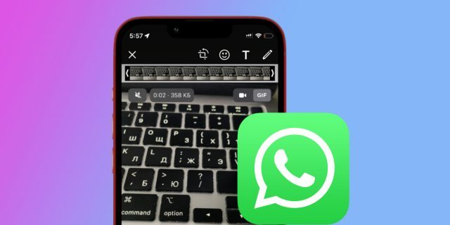 Как на айфоне отправить фото в WhatsApp в режиме анимации: пошаговая инструкция