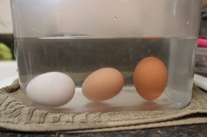 2 проверенных способа определить свежесть куриных яиц