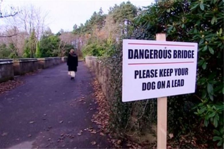 Таинственное явление: 600 собак прыгнуло с моста
