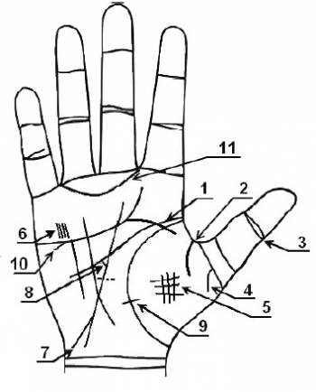 Уникальные линии и знаки на руке
