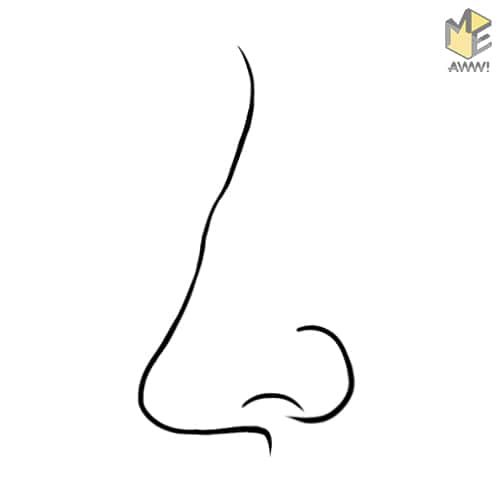 Что может сказать о характере человека форма его носа?