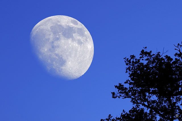 3 сильных заговора на растущую Луну