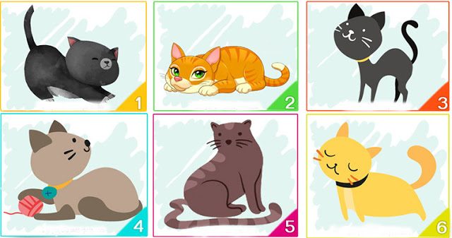 Тест: выберите кошку и узнайте правду о вашей личности