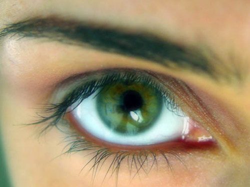 10 интересных фактов про энергетику обладателей зеленых глаз