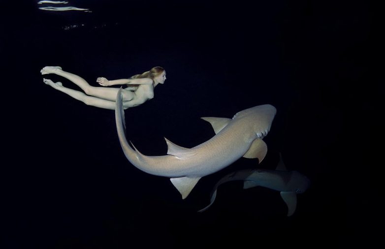 Обнаженная модель купается с акулами