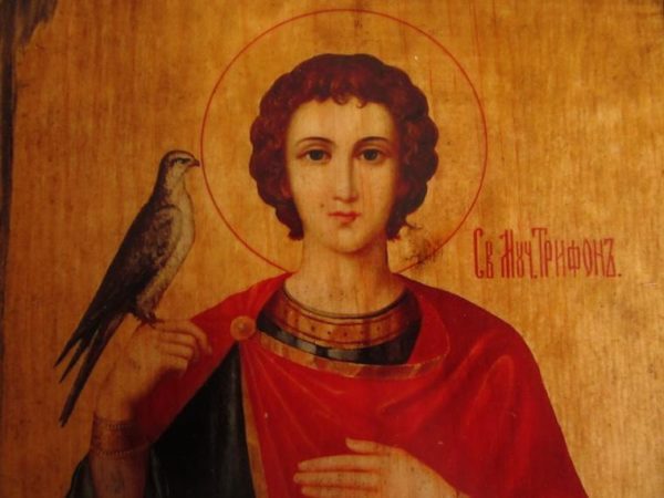 Церковь чтит память святого мученика Трифона